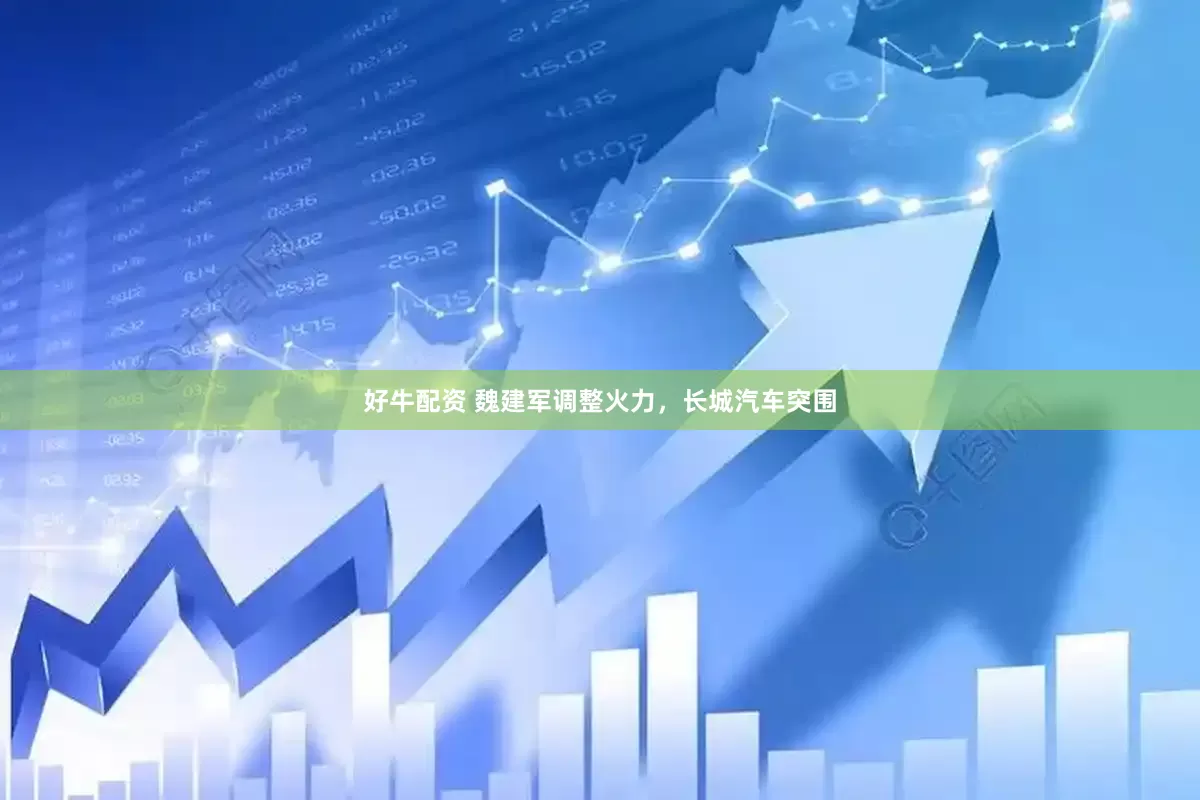 好牛配资 魏建军调整火力，长城汽车突围