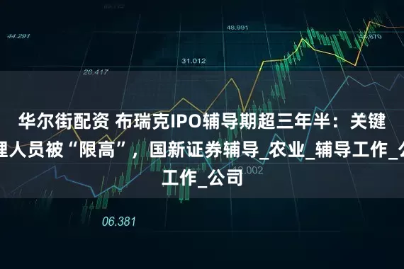华尔街配资 布瑞克IPO辅导期超三年半：关键管理人员被“限高”，国新证券辅导_农业_辅导工作_公司
