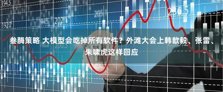 叁酶策略 大模型会吃掉所有软件？外滩大会上韩歆毅、张雷、朱啸虎这样回应