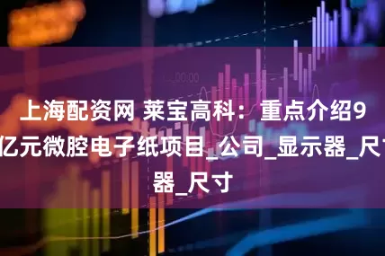 上海配资网 莱宝高科:重点介绍90亿元微腔电子纸项目_公司_显示器_尺寸